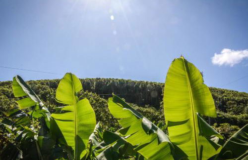Quinta dos Frutos - Foto 62