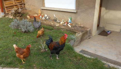 Jardin Fleuri - Foto 2