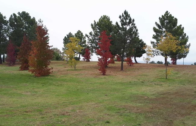 Sakura Vera - Foto 46