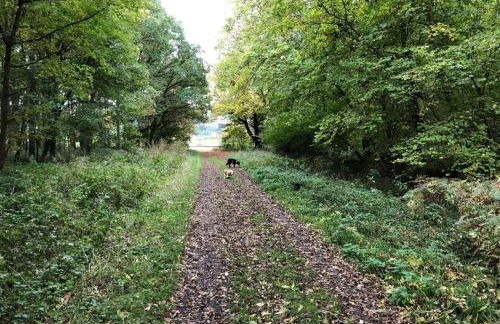 Moo Cow Cottage Self Catering - Photo 34