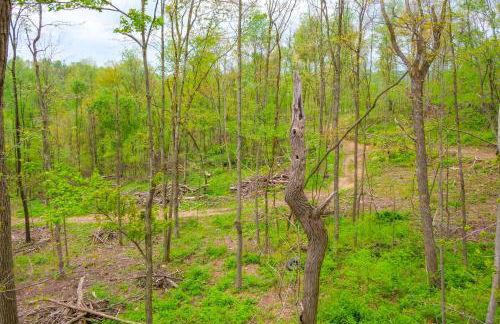 1 Mi to Mohican River Wooded Retreat with Trails! - Foto 24