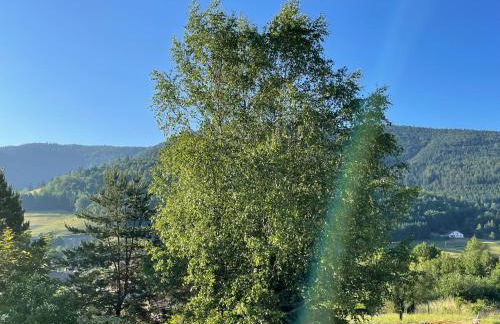 La maison des douceurs - Foto 18