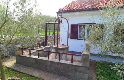 Spignoviza - Foto 32