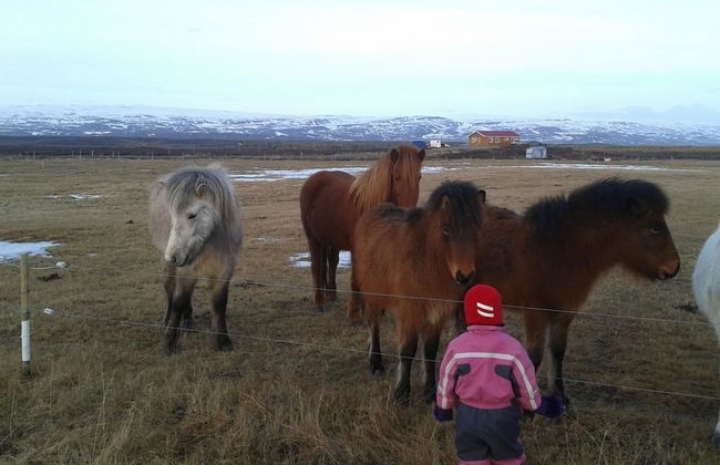 Stormur Cottages - Foto 10