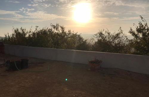 Meu Moinho - Foto 19