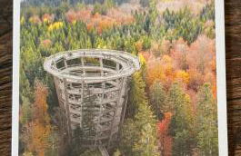 Aparthotel Schwarzwald Panorama - Foto 6