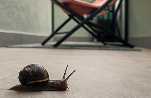 Felicita - 2 Terraces & Relax Apartment - Foto 26