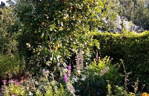 Haus Gartenidylle - Foto 20