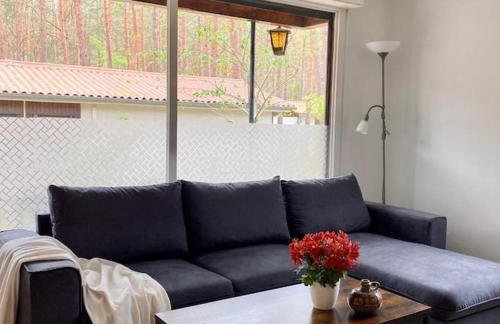 Bungalow im Kiefernwald direkt an der Ostsee (a) - Foto 16