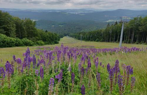 Apartmany JaJ-Bavorsko - Foto 31