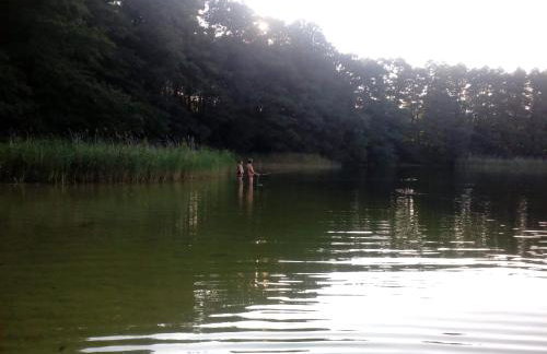 W starej szkole - agroturystyka - Foto 62