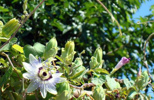 Maison Les Chênes - Jacuzzi - Calme & Idéalement situé - Clim - Salle de Jeux - Parking - Foto 57