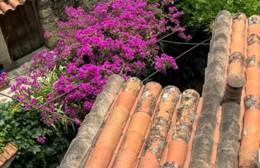 Lanzaroco, tu casa en La Vera - Foto 60