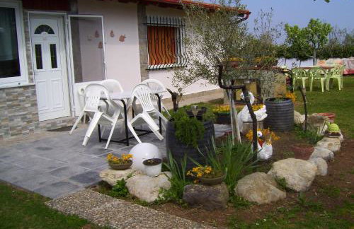 Verginia Studios - Photo 5