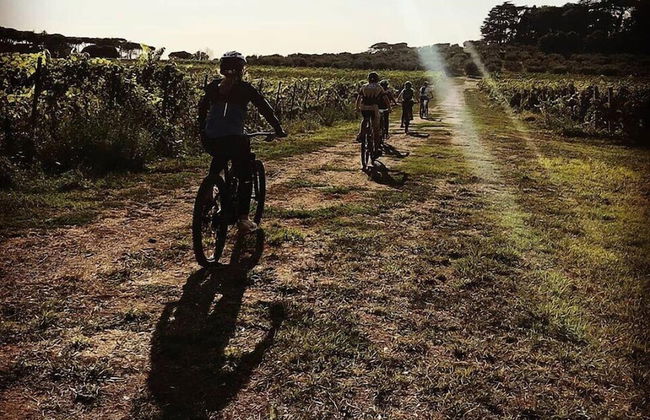 Villa Cavalletti - Foto 29