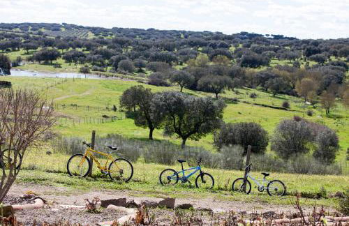 Herdade das Pintas - Foto 31