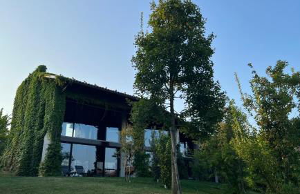 Murrae Loft - Photo 6