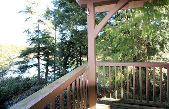 Black Bear Cottage - Photo 14