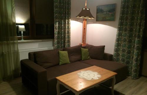 Apartament Pod Skarpą z balią Wieżyca - Foto 16