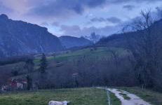 La Casa de la Vega - Foto 59