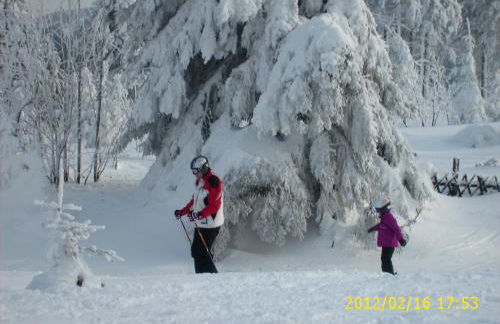 Apartments - Lehmanns Ferienwohnungen - Foto 39
