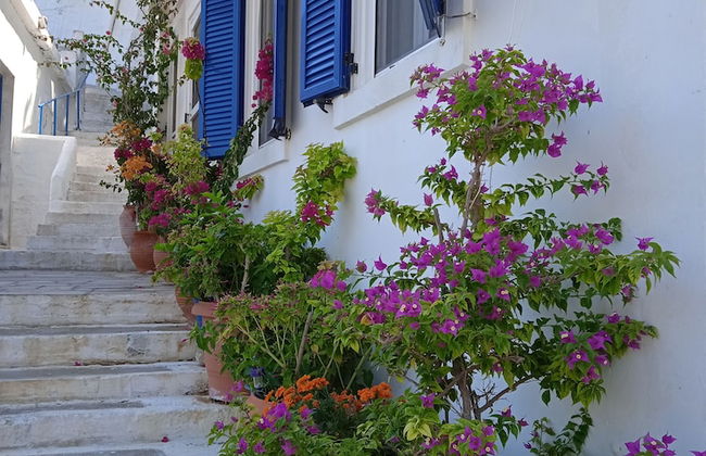 Alkistis Cozy By The Beach Apt in Ikaria Island, Therma Ground Floor - Foto 22