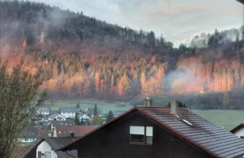 Mayntz' Albjuwel - Foto 12