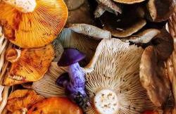 Alojamiento Rural El Peñon de Hornos - Foto 35