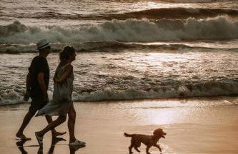 Wesley House Holidays - Choice of 2 Quirky Cottages in 4 private acres - Foto 78