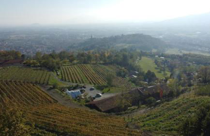 Agriturismo Dai Dellerba - Foto 12