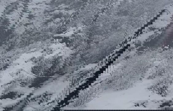 AĞARAN Wooden Houses - Foto 38