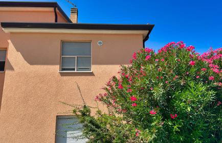 Frank's Place - Foto 15