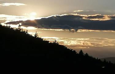 Ferienwohnung 37 Sonnenwald - Foto 3