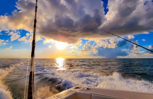 The Nautilus - Foto 36