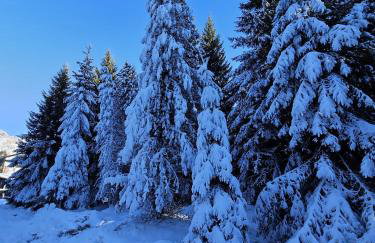 Alone in Chalet with view on Dolomites - Foto 60