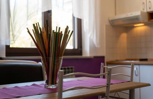 Apartments Miri Vrsar - Foto 41