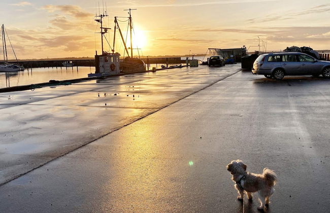 5 Person Holiday Home in Oster Assels-by Traum - Foto 21