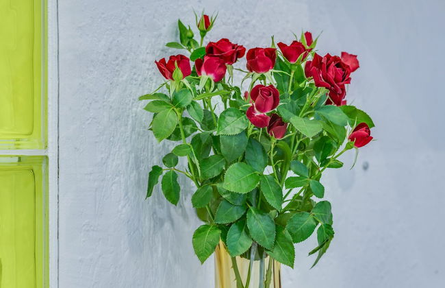 Travelto Narvskaya - Photo 49