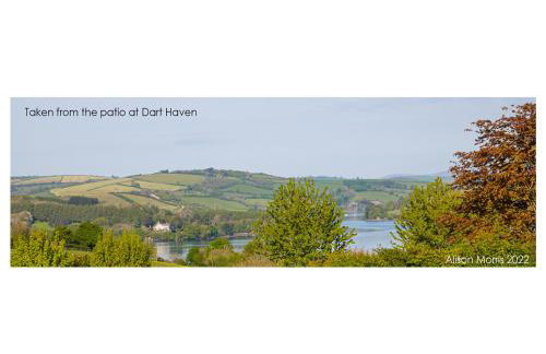 Dart Haven - cheerful holiday bungalow in Galmpton - Photo 19