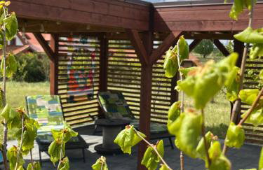 Na zielonej łące... - Foto 65