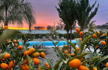 Villa Marinezzi - Foto 7