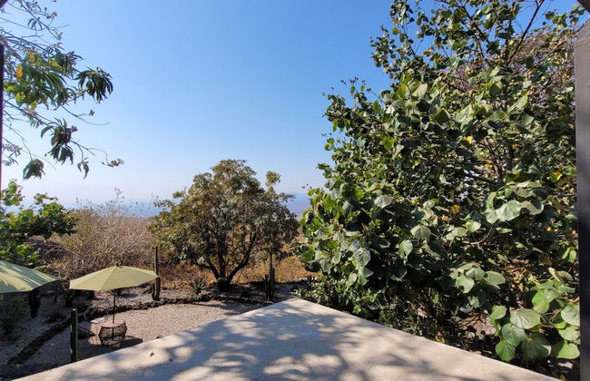 Bosque Geométrico - Foto 51