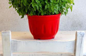 Grandma's House Mani - Foto 56