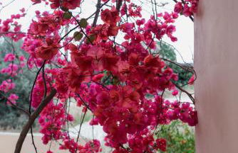 Villa Discover Evia - With Private Jacuzzi - Foto 62