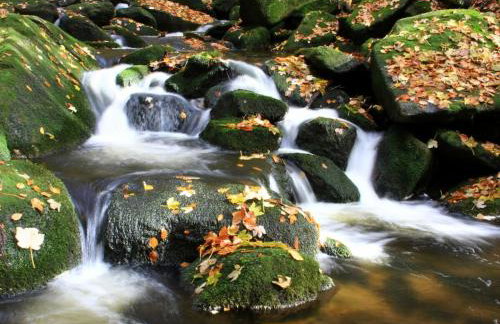 Holiday home Corinna - Foto 31