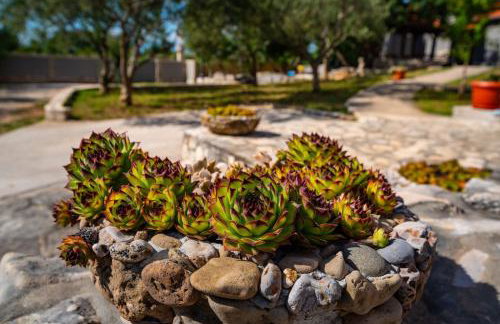 Villa Eagle - Photo 47