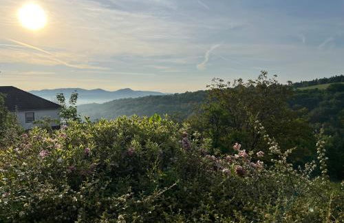 SUNRISE mit großer Terrasse und Weitblick - Photo 9