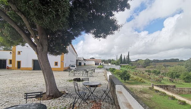 Excursão Particular para Évora visite uma Vinícola com prova de vinho alentejano saindo de Lisboa - Foto 3