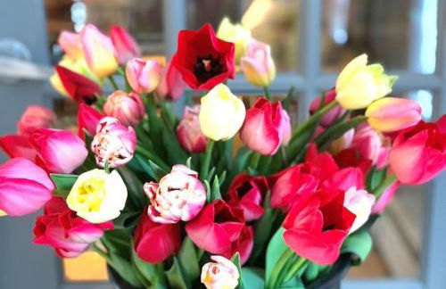 Luxury Farm Stay-Bonds Corner Bungalow-Wolf Pine Hollow - Foto 76