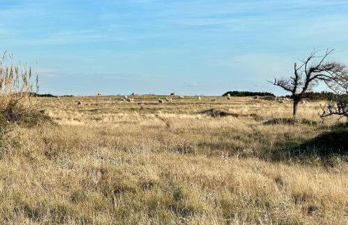 Robinson Crusoe Island Apartment - Foto 43